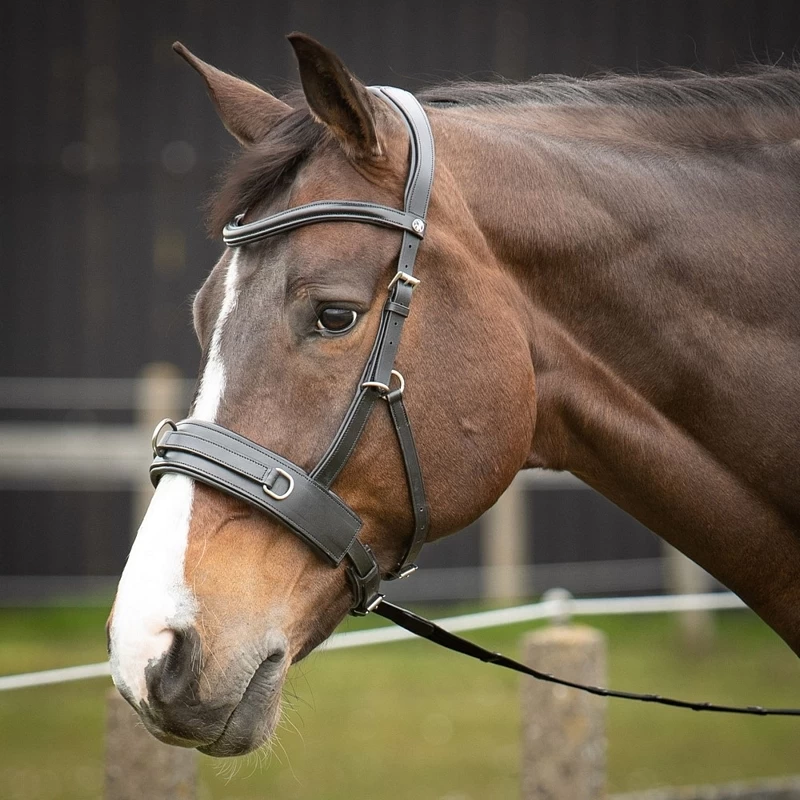 Harry's Horse Leather Lunging/Bridle Cavesson 3 Harry's Horse Leather Lunging/Bridle Cavesson - Image 3