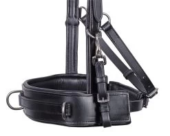 Harry's Horse Leather Lunging/Bridle Cavesson 7 Harry's Horse Leather Lunging/Bridle Cavesson -Equestrian Supplies Online Shop 305090089000W 4 305090089