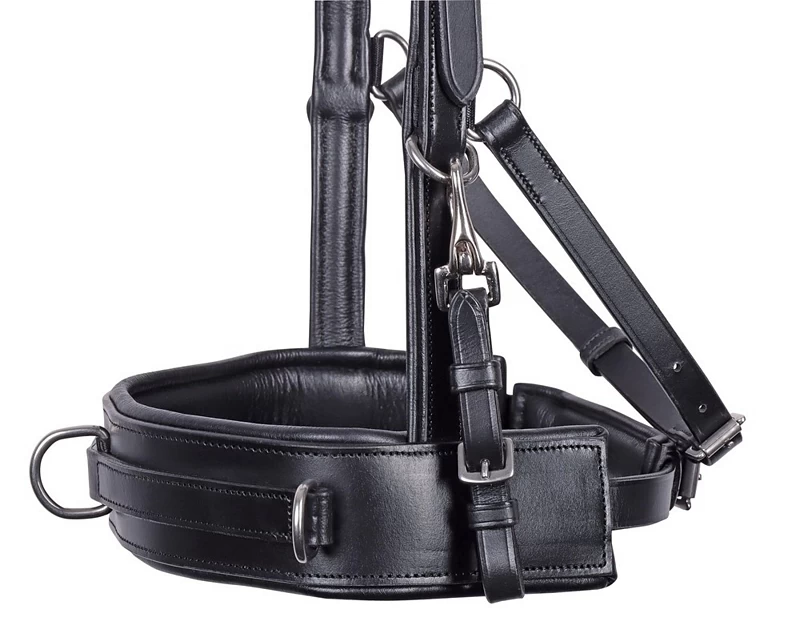 Harry's Horse Leather Lunging/Bridle Cavesson 4 Harry's Horse Leather Lunging/Bridle Cavesson - Image 4