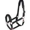 Waldhausen Lunging Halter Roségold