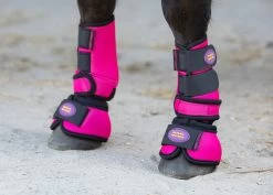 Harry's Horse Leg Protection Set Diva Fuchsia -Equestrian Supplies Online Shop 312035057000W 2 312035057