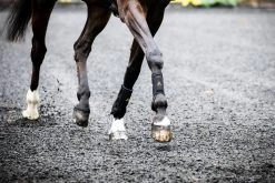 Horseware Adagio Boots -Equestrian Supplies Online Shop 312090292000W 3 312090292