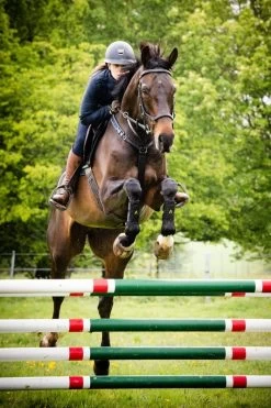 Horseware Adagio Boots -Equestrian Supplies Online Shop 312090292000W 4 312090292