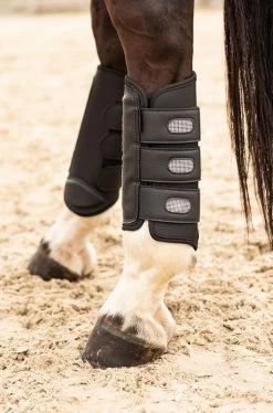 Harry's Horse Tendon Boots Eventing Hind -Equestrian Supplies Online Shop 312090294000W 4 312090294