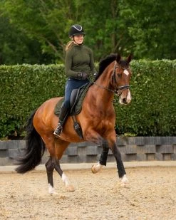 QHP Leg Protection Jorine -Equestrian Supplies Online Shop 312090303000W 3 312090303