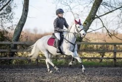 LeMieux Junior Pro Fetlock Boots -Equestrian Supplies Online Shop 313090097000W 3 313090097