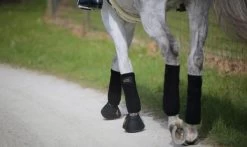 Kentucky Horsewear Kentucky Leather Overreach Boots -Equestrian Supplies Online Shop 314090076000W 3 314090076