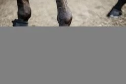 Kentucky Horsewear Kentucky Overreach Boots Heel Protection -Equestrian Supplies Online Shop 314090104000W 3 314090104