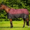DKR Sports Rain Rug Turnout Luxe 150grs