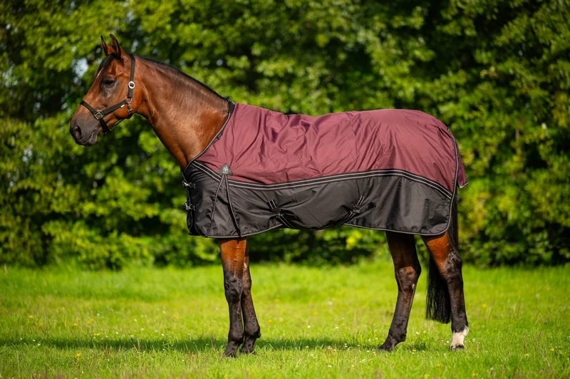 DKR Sports Rain Rug Turnout Luxe 150grs 1 DKR Sports Rain Rug Turnout Luxe 150grs