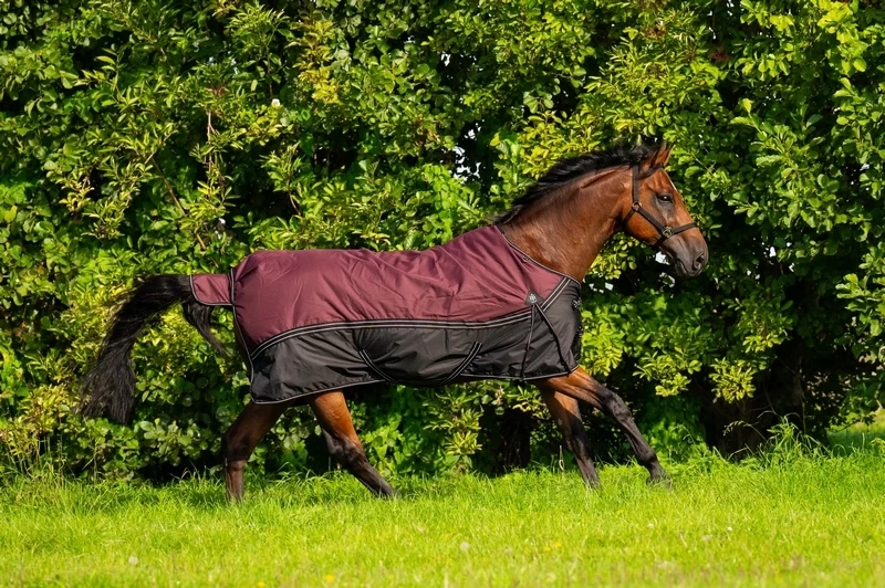 DKR Sports Rain Rug Turnout Luxe 150grs 3 DKR Sports Rain Rug Turnout Luxe 150grs - Image 3