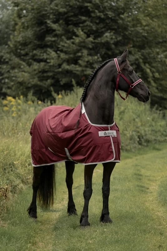 Bucas Atlantic Exclusive Medium 1 Bucas Atlantic Exclusive Medium