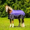 DKR Sports Mini Winter Rug 150grs Specially For Pony's Pretty Purple