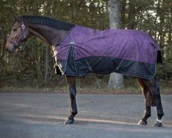 QHP Turnout Rug Collection 150gr