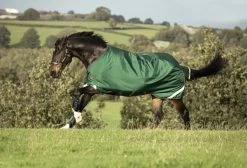 Horseware Rambo Original With Leg Arches 100grs
