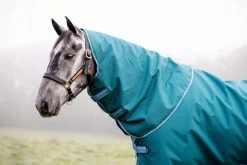 Horseware Amigo Bravo 12 Plus 100gr Turnout Rug -Equestrian Supplies Online Shop 401060036000W 3 401060036