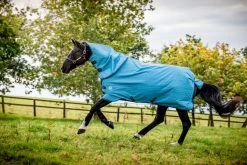 Horseware Amigo Hero 900 Revive Plus 200grs