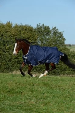 Bucas Freedom Turnout Highneck 150 -Equestrian Supplies Online Shop 401079075000W 3 401079075