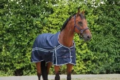 DKR Sports Rain Rug Turnout Luxe 50grs