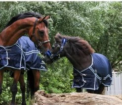 DKR Sports Rain Rug Turnout Luxe 50grs -Equestrian Supplies Online Shop 401079088000W 3 401079088