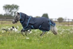 Horseware Amigo Hero 6 Petite Plus Medium Outdoor Rug -Equestrian Supplies Online Shop 401079109000W 3 401079109