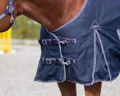 QHP Turnout Rug Luxury 100grs -Equestrian Supplies Online Shop 401079110000W 3 401079110