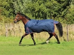 DKR Sports Rain Rug Turnout Luxe 350grs