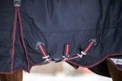 LeMieux Kudos Turnout Rug 200g 1680D -Equestrian Supplies Online Shop 401079133000W 3 401079133