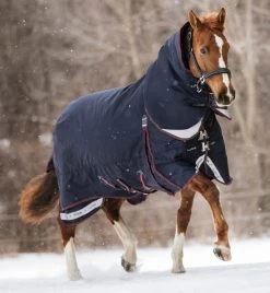 LeMieux Kudos Turnout Rug 200g 1680D -Equestrian Supplies Online Shop 401079133000W 4 401079133