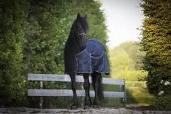 DKR Sports Outdoor Rug Big Neck 200grs -Equestrian Supplies Online Shop 401079136000W 4 401079136