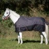 DKR Sports Mini Deluxe Winter Rug 150grs Specially For Pony's