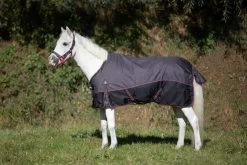 DKR Sports Mini Deluxe Winter Rug 150grs Specially For Pony's