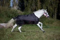 DKR Sports Mini Deluxe Winter Rug 150grs Specially For Pony's -Equestrian Supplies Online Shop 401080050000W 4 401080050