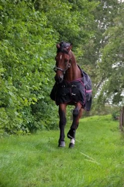 DKR Sports Rain Rug Turnout Luxe 200grs -Equestrian Supplies Online Shop 401090109000W 3 401090109