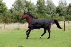 DKR Sports Rain Rug Turnout Luxe 200grs -Equestrian Supplies Online Shop 401090109000W 4 401090109
