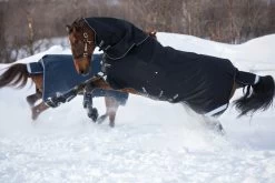 Horseware Amigo Super Bravo Plus 250grs