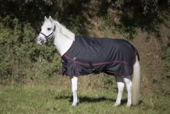 DKR Sports Mini Winter Rug 200grs Specially For Pony's
