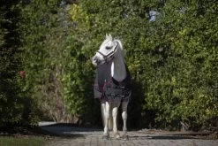 DKR Sports Mini Winter Rug 200grs Specially For Pony's -Equestrian Supplies Online Shop 401090122000W 3 401090122