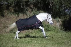 DKR Sports Mini Winter Rug 200grs Specially For Pony's -Equestrian Supplies Online Shop 401090122000W 4 401090122
