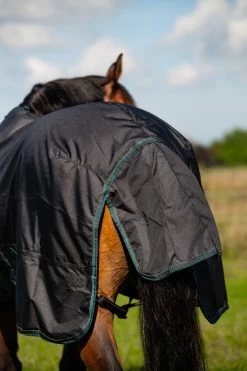 DKR Sports Eco Outdoor Rug Deluxe 150grs 6 DKR Sports Eco Outdoor Rug Deluxe 150grs -Equestrian Supplies Online Shop 401090124000W 3 401090124