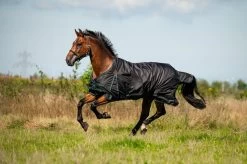 DKR Sports Eco Outdoor Rug Deluxe 150grs 7 DKR Sports Eco Outdoor Rug Deluxe 150grs -Equestrian Supplies Online Shop 401090124000W 4 401090124