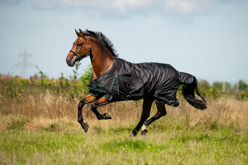 DKR Sports Eco Outdoor Rug Deluxe 150grs 4 DKR Sports Eco Outdoor Rug Deluxe 150grs - Image 4