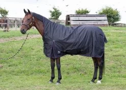 Harry's Horse Outdoorrug Highneck 200grs