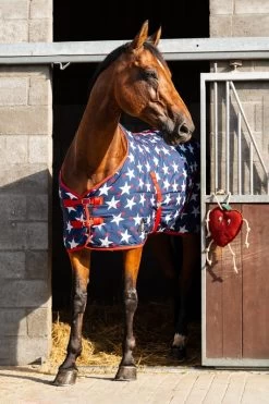 DKR Sports Stable Rug I'm A Star 100grs -Equestrian Supplies Online Shop 401170011000W 3 401170011