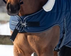 QHP Stable Rug 200gr With Shoulder Cut Out -Equestrian Supplies Online Shop 401179032000W 3 401179032