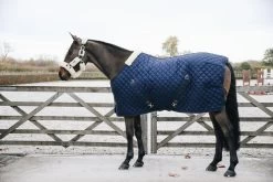 Kentucky Horsewear Kentucky Stable Rug 200 Grs