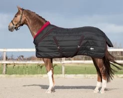 QHP Stable Rug Luxury Collection 200gr