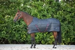 DKR Sports Stable- And Underrug 150grs