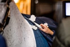 Horseware Eco Liner 200gr -Equestrian Supplies Online Shop 401260001000W 4 401260001