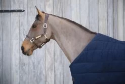 Kentucky Horsewear Kentucky Under Rug Skin Friendly 300gr 6 Kentucky Horsewear Kentucky Under Rug Skin Friendly 300gr -Equestrian Supplies Online Shop 401279001000W 3 401279001